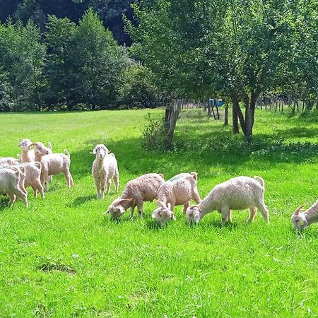 Au Mohair Des Alpy Fougax-et-Barrineuf Exteriér fotografie
